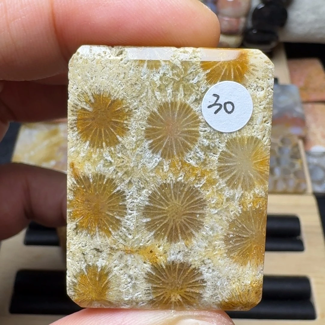 硅化玉未镶嵌纯天然色有机玉石保真色