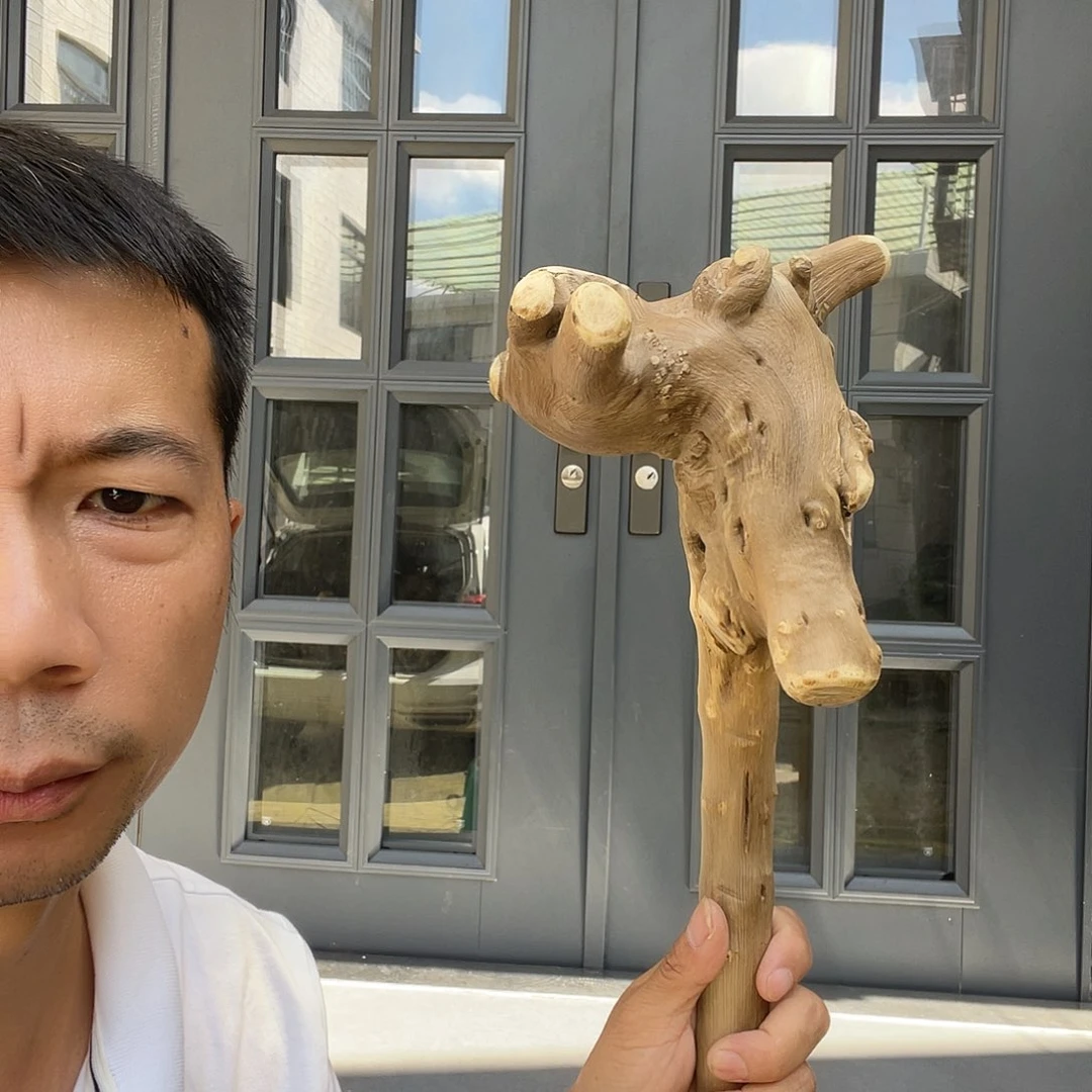 朝***拾贵州铁马鞭登山杖