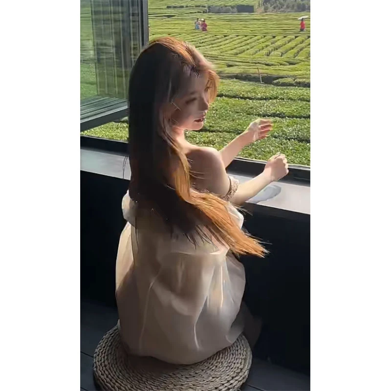 2025秋季新款修身显瘦简约百搭气质时尚高街宽松一字性感连衣裙女