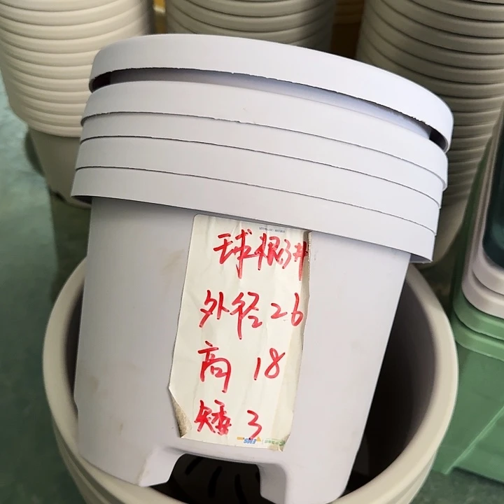 球根26口径6个无托灰白
