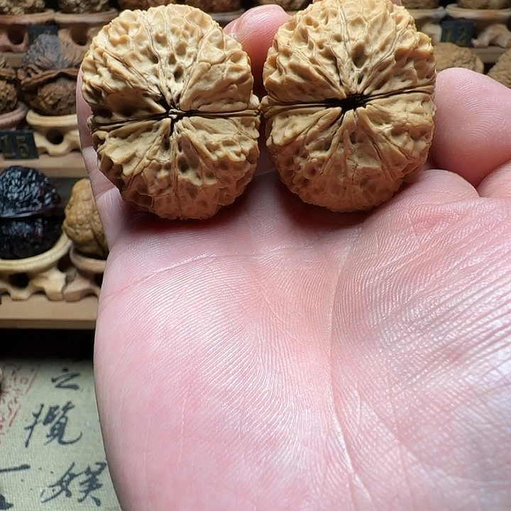 木质类云铁小绣球40尺