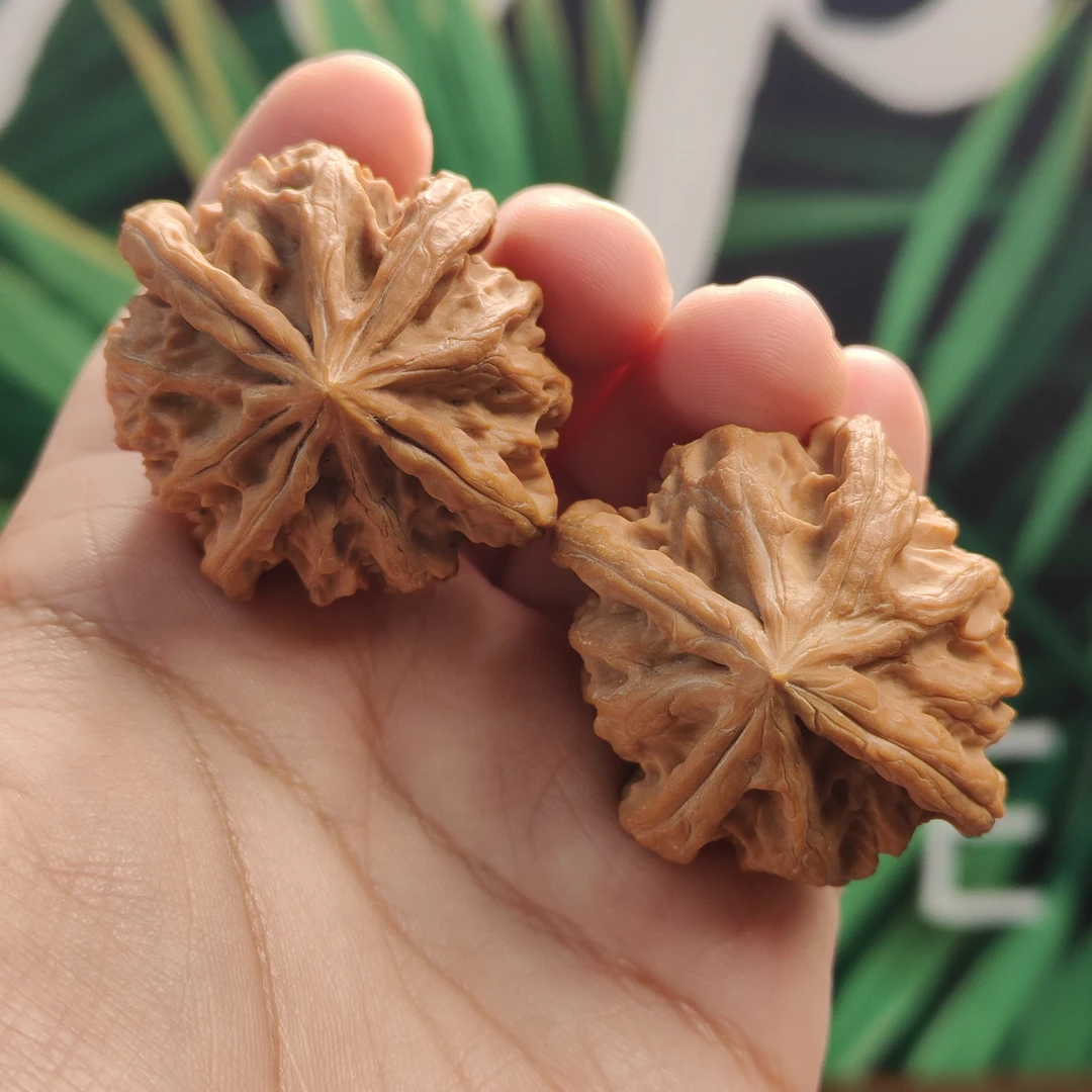 文玩臻品典藏—微修正四棱曹大龙