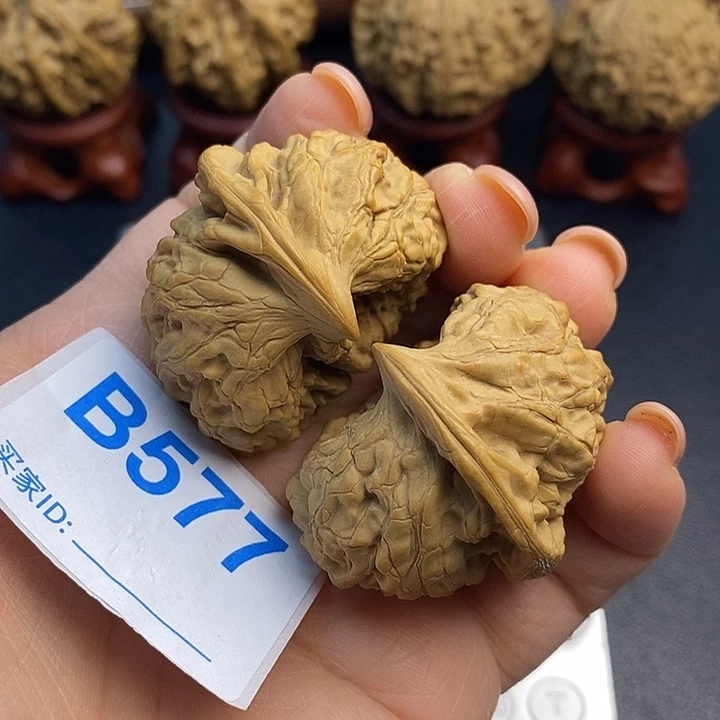 文玩核桃把件官帽鹰嘴6.4