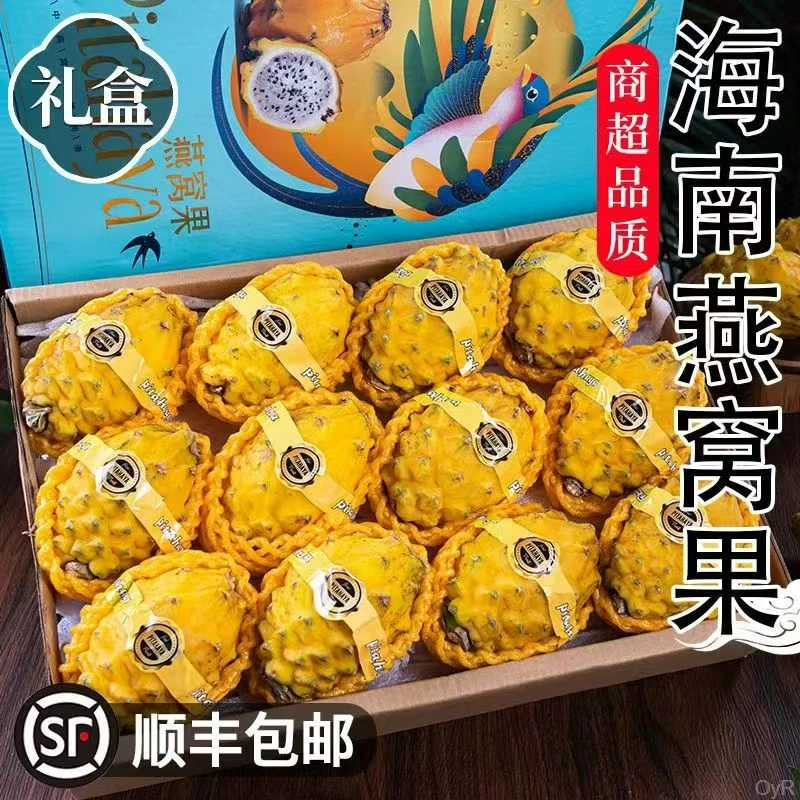 礼盒装海南特产顺丰包邮黄皮新鲜燕窝果海南特产顺丰包邮