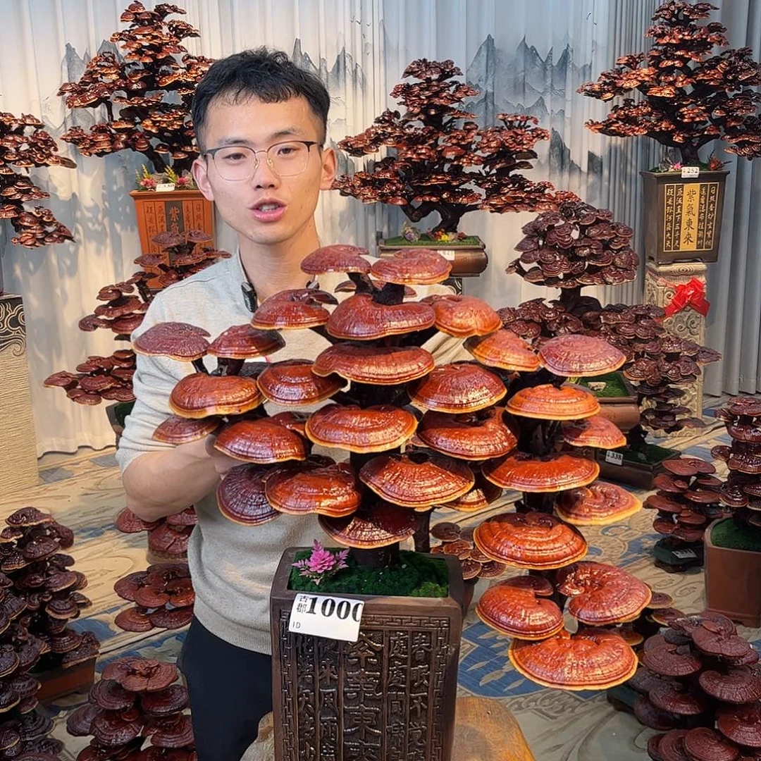 易***爱无花朵8888888888