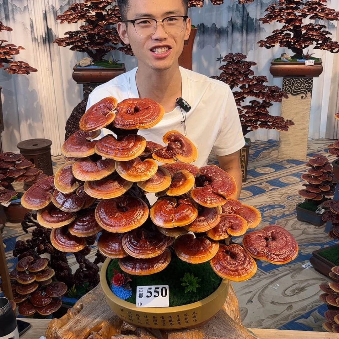 无花朵888888888888