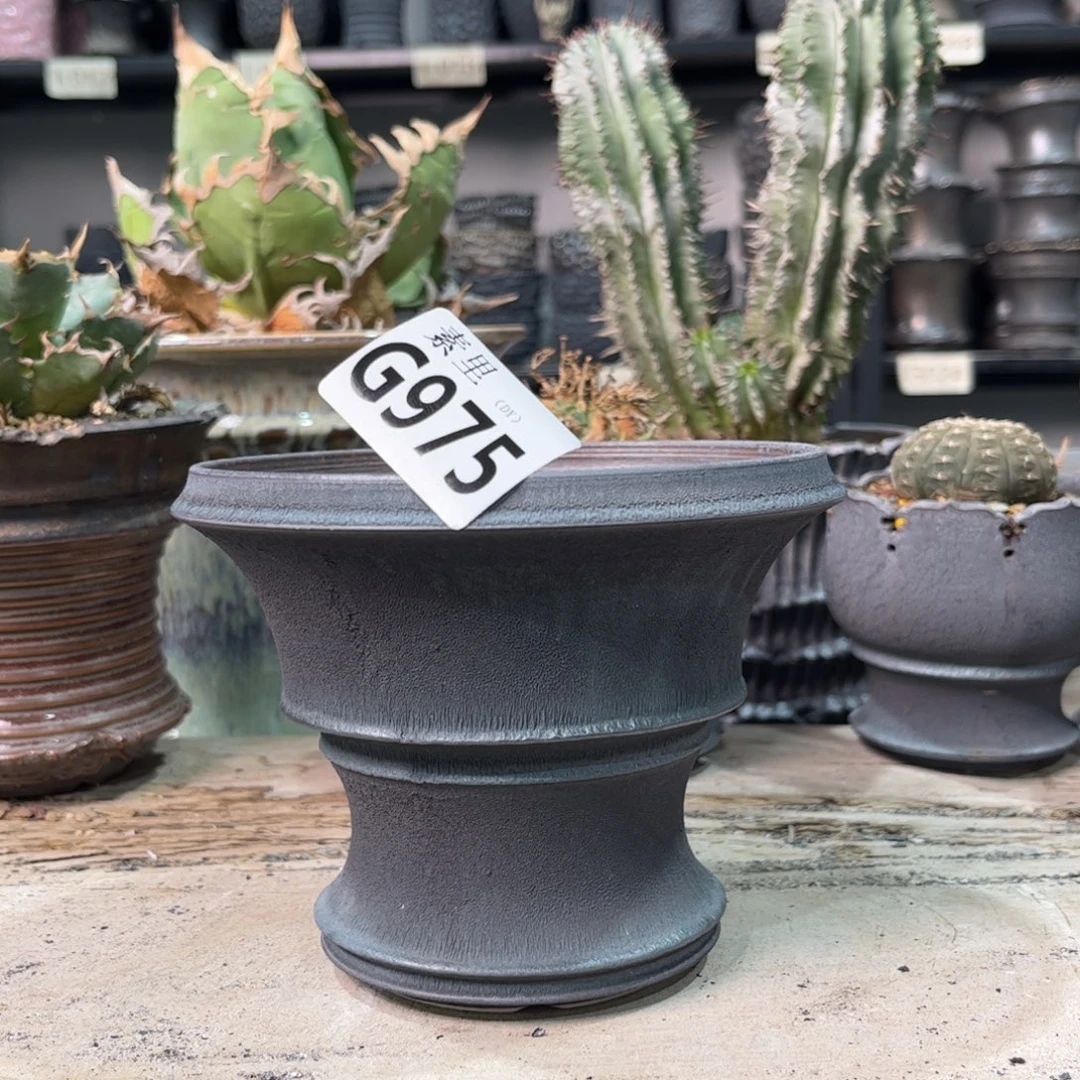 陶内口12.5高10.5景德镇