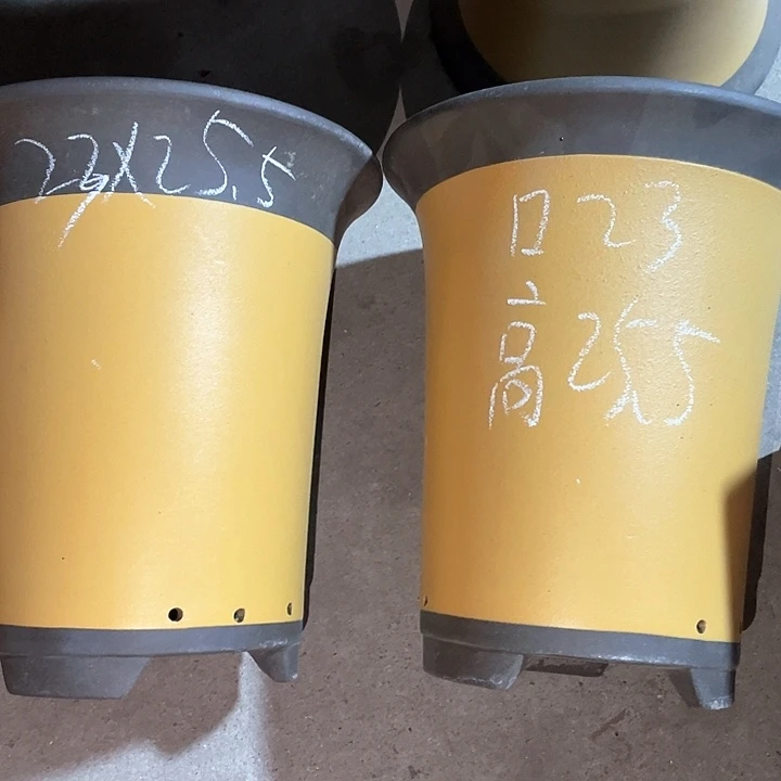 红陶紫砂紫砂紫砂