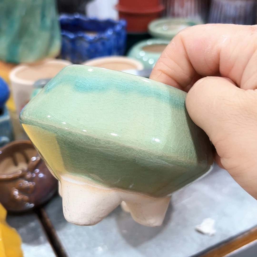 花盆花盆花盆花盆花盆花盆花盆