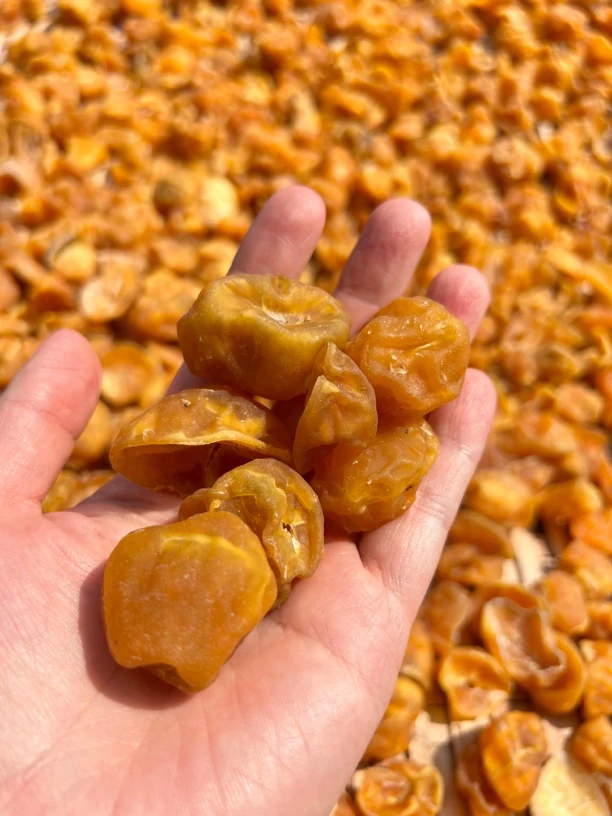 恩施土特产干土豆果果洋芋果果袋装食用马铃薯片自然晾晒下饭500g