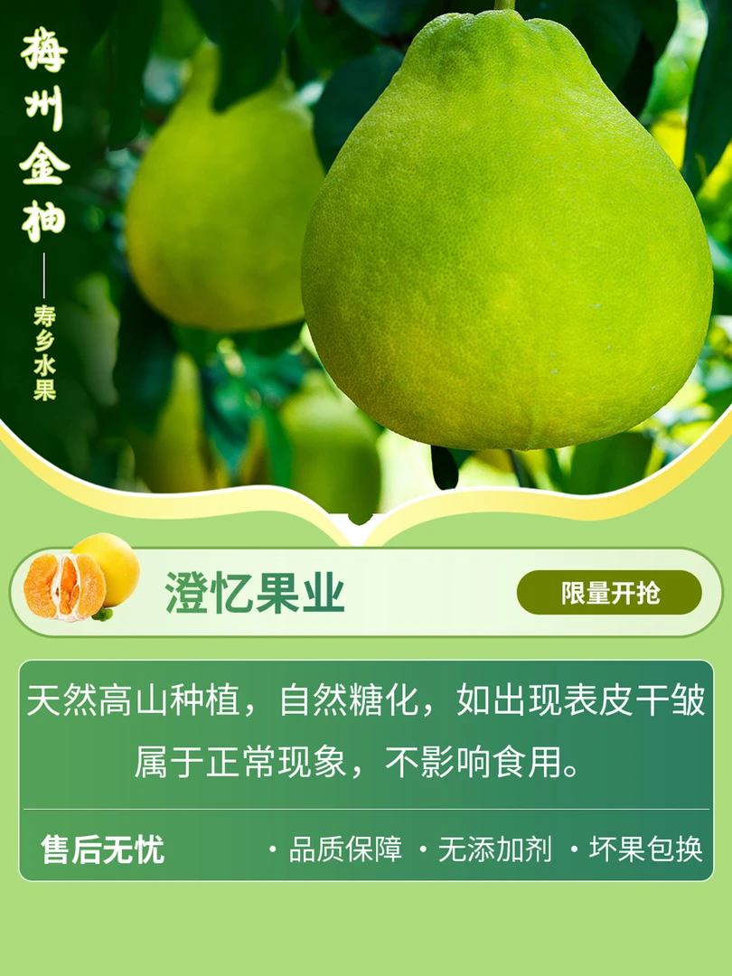 梅州高山沙田柚清甜水果耐放爽口纯甜不酸