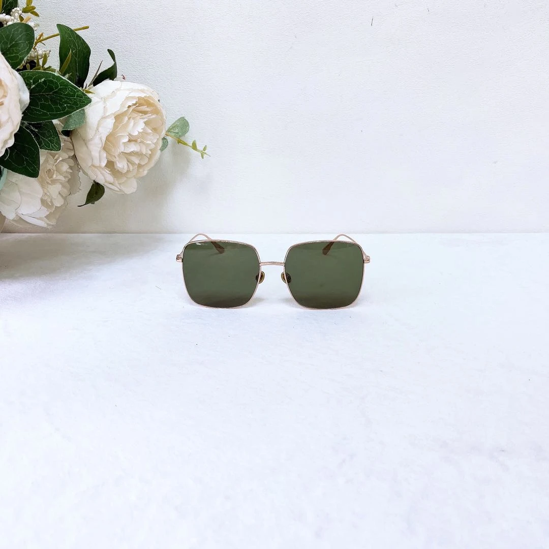 99新 DIOR/迪奥 /墨镜/Xsps11213