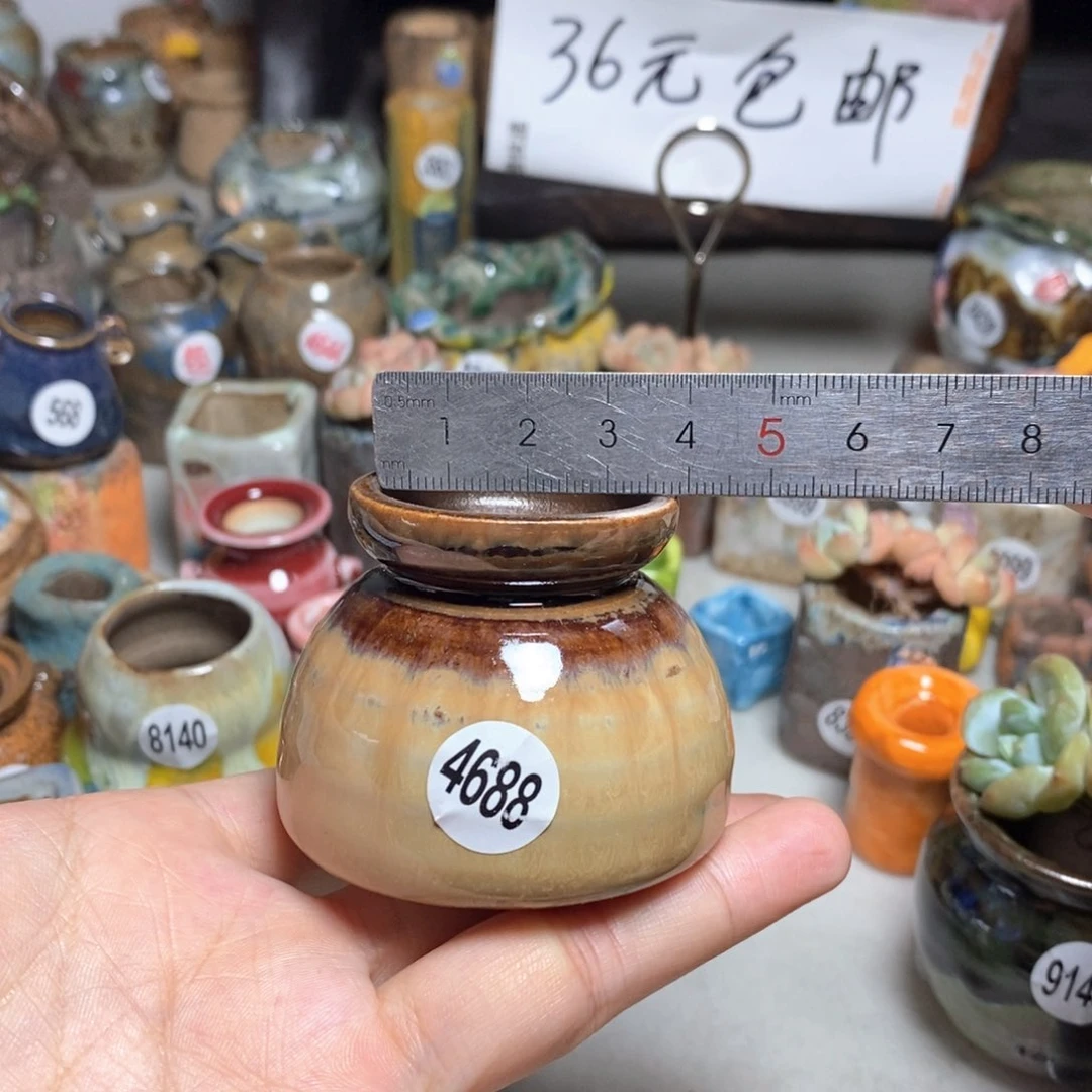 拍5送一个小礼物