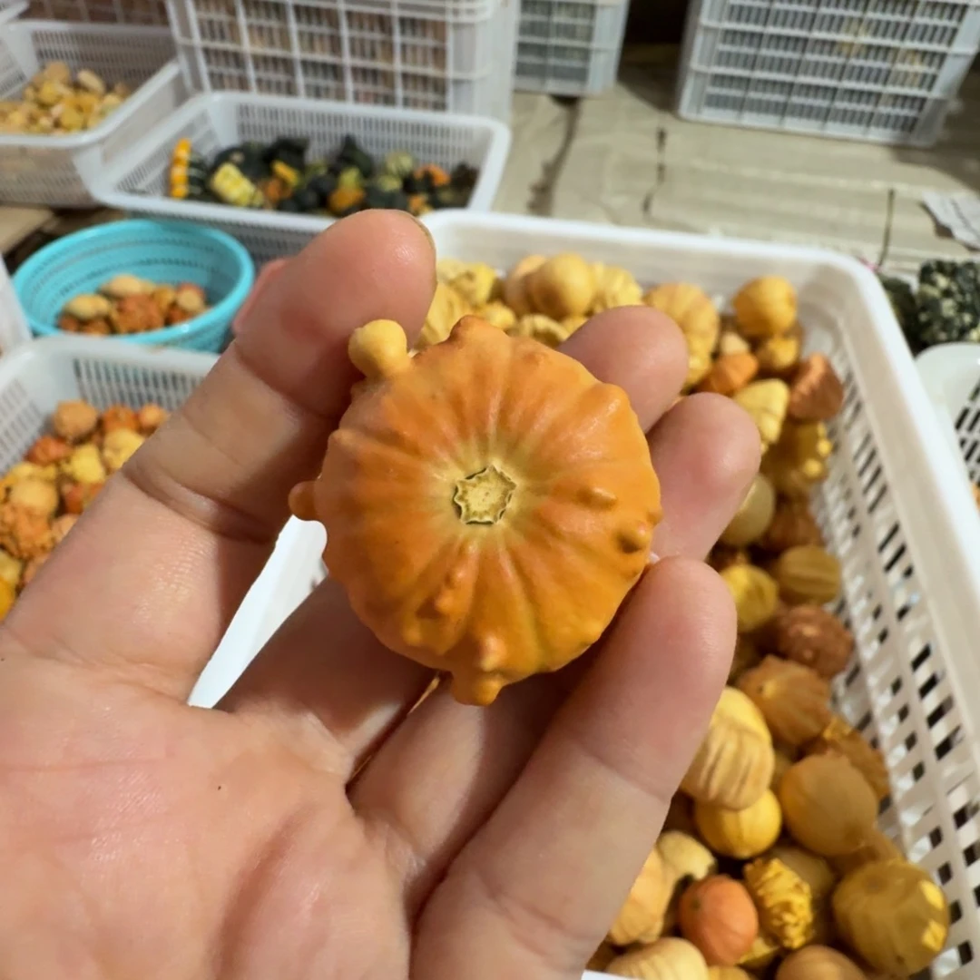 A*特价葫芦不退不换