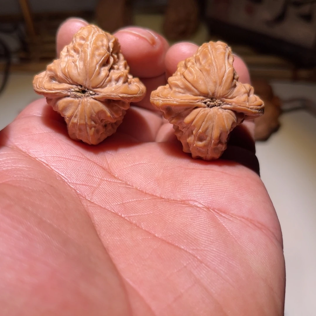 把件文玩核桃34.5白蛇谷