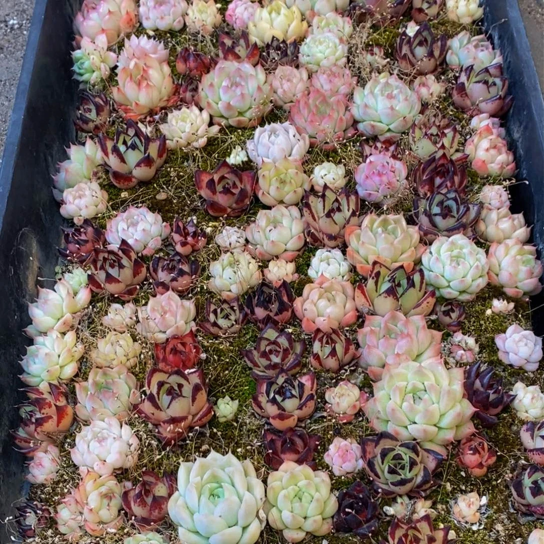 317都让的人不知道怎么