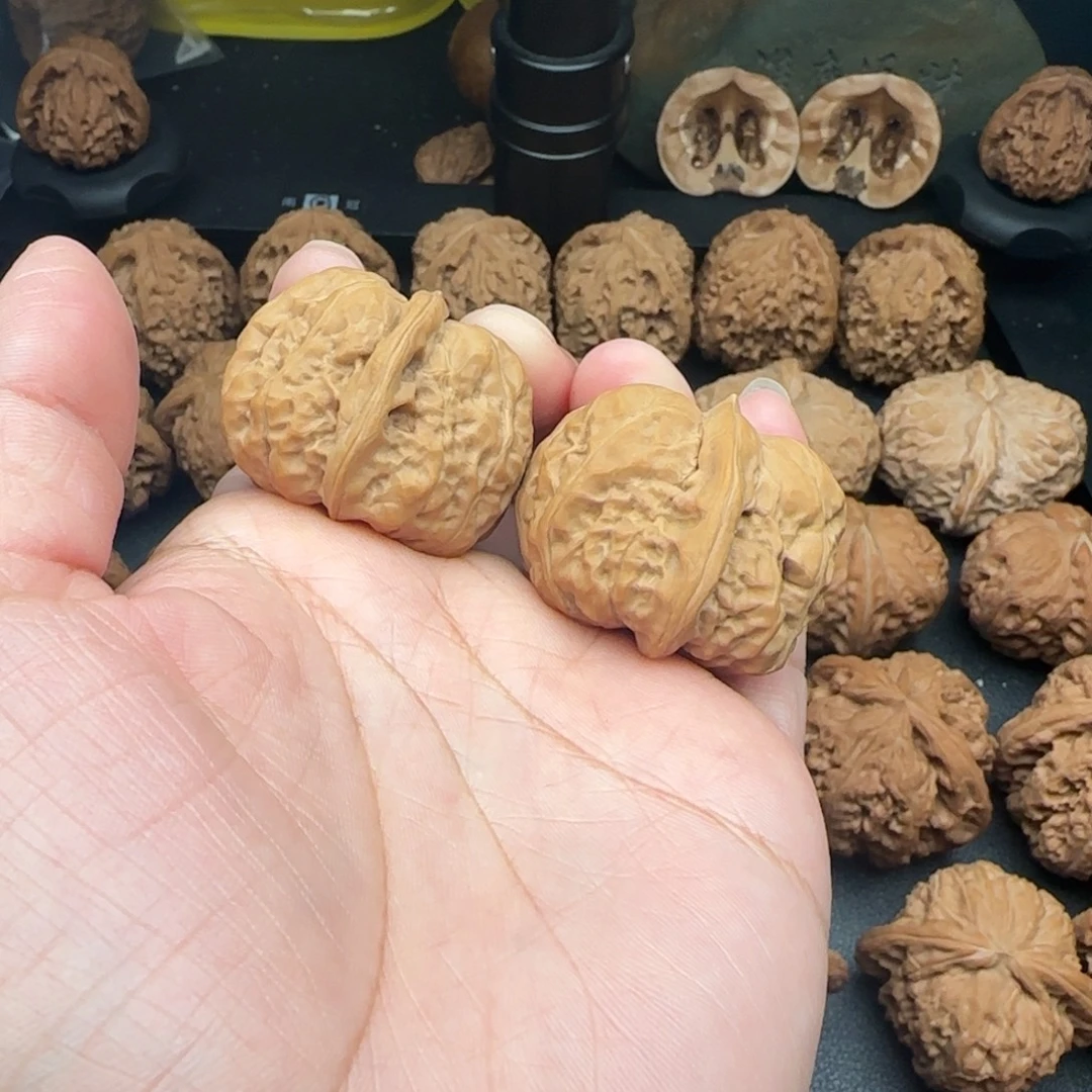 37尺全品无修蛤蟆头