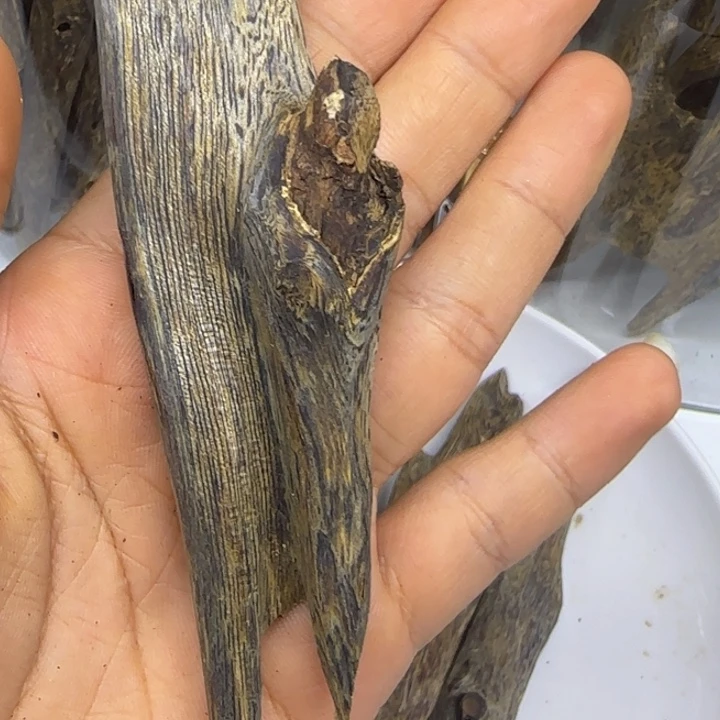琳***爱香榧木奇楠天然虫漏23克