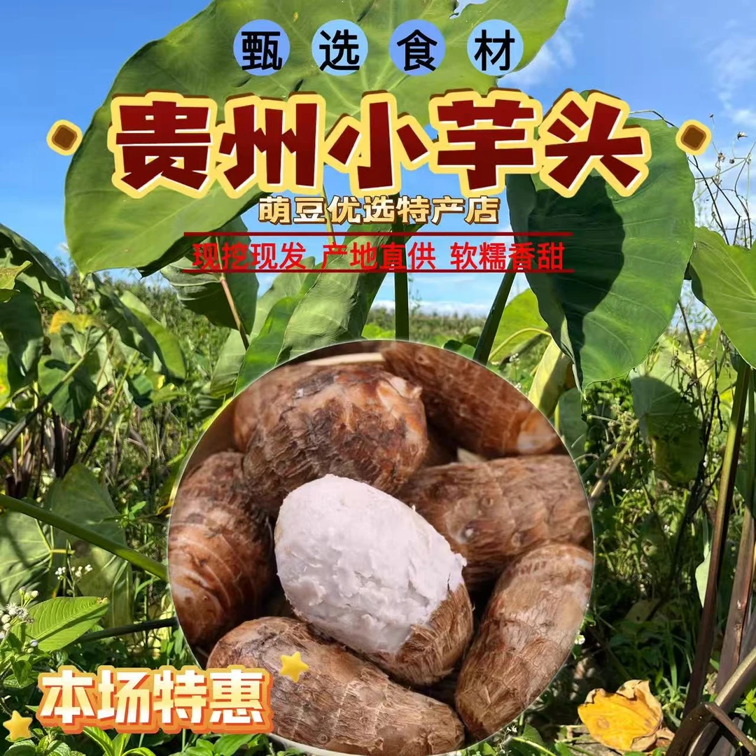 贵州新鲜应季牛奶芋头现挖现发香甜软糯