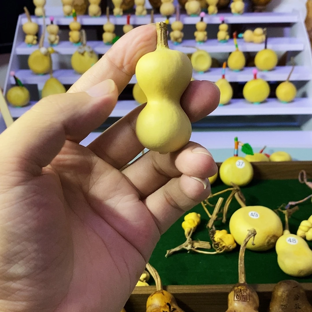 骨头绕指全场福利一直不停