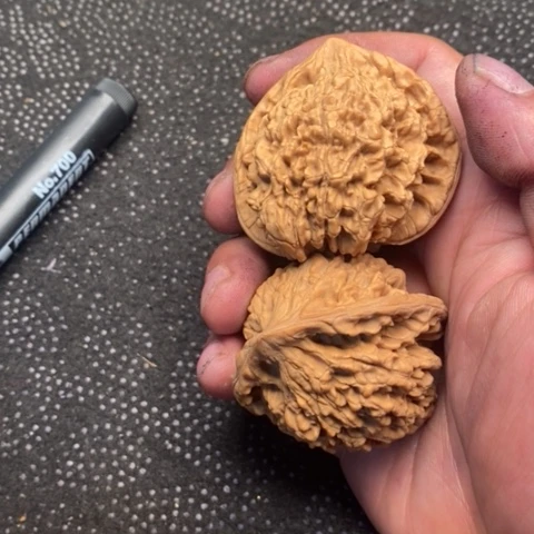 文玩核桃把件官帽1.1