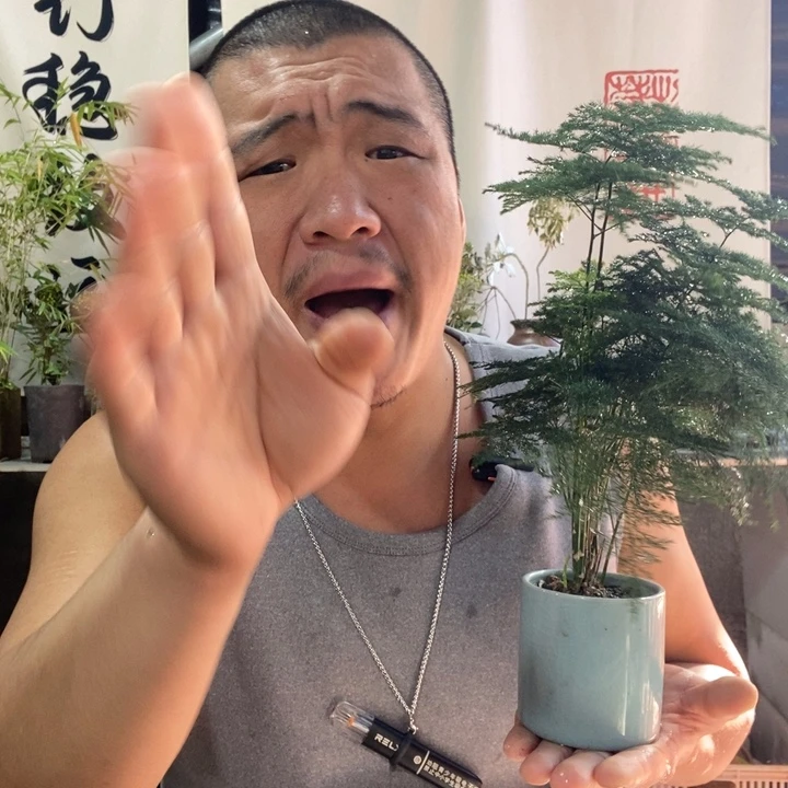 无花朵退款拉黑拉黑52
