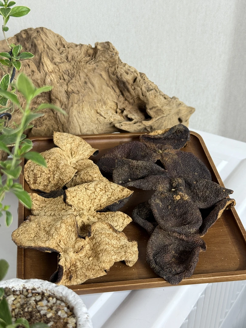 2016天马大红狗腩皮冰糖韵回甜-耐泡-中秋佳节