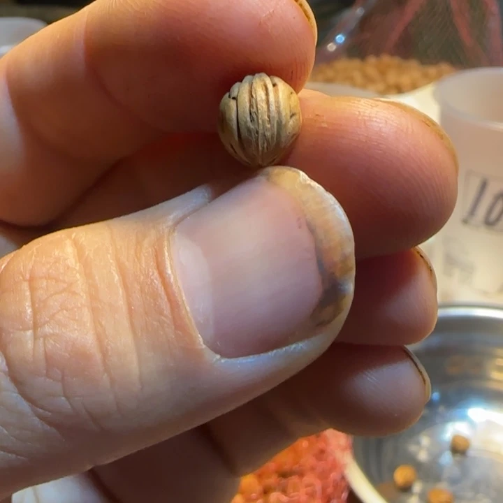 黑***板桃核手串0.8的小尺寸30颗