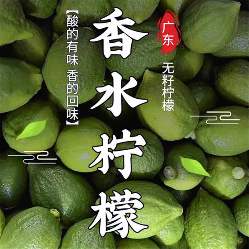 广东香水柠檬二级果无籽四季青柠檬茶饮奶茶店专用500原产地水果
