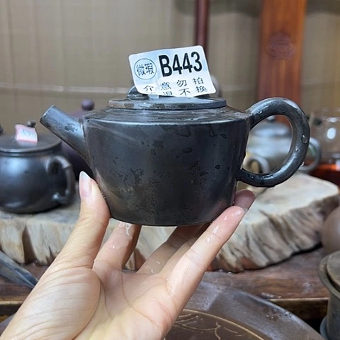 戬谷龙窑坭兴陶柴烧443
