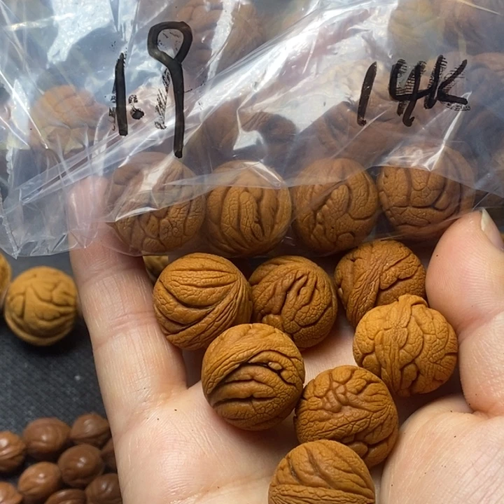 木质类秦岭山野生桃核