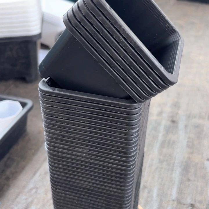 9公分黑方盆12个黑色