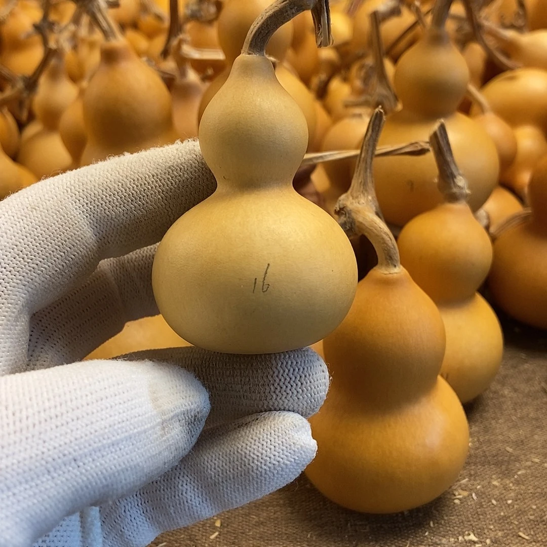 文玩葫芦 完美主义者 慎拍16