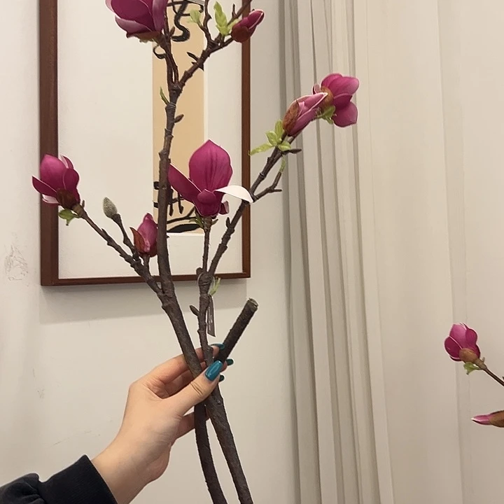 一口价 玉兰小支一支
