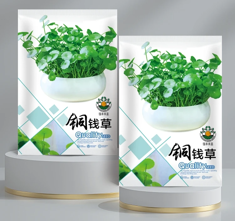 铜钱草草籽种子大叶子水养种种籽水培植物花卉招财盆栽室内常绿