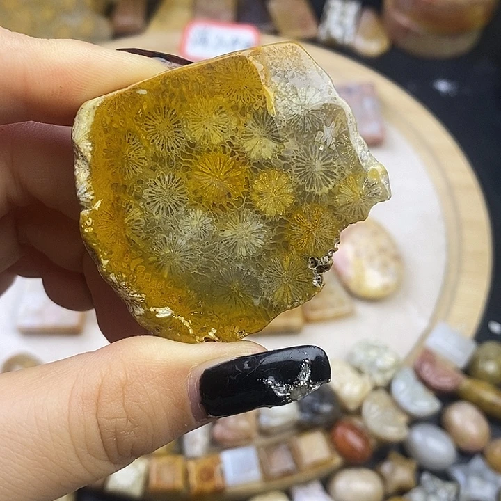 硅化玉未镶嵌颈饰