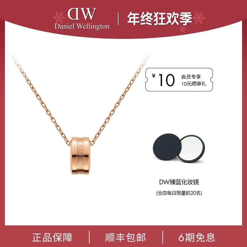 合金项链 【年终狂欢】dw项链时尚饰品首饰小众锁骨链项链女轻奢款
