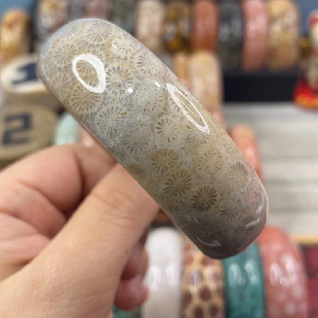 未镶嵌手镯硅化玉