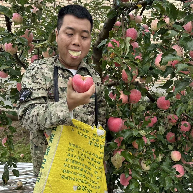 陕西淳化爸妈种的原生态套袋大红富士（高山旱地牛粪种植）苹果