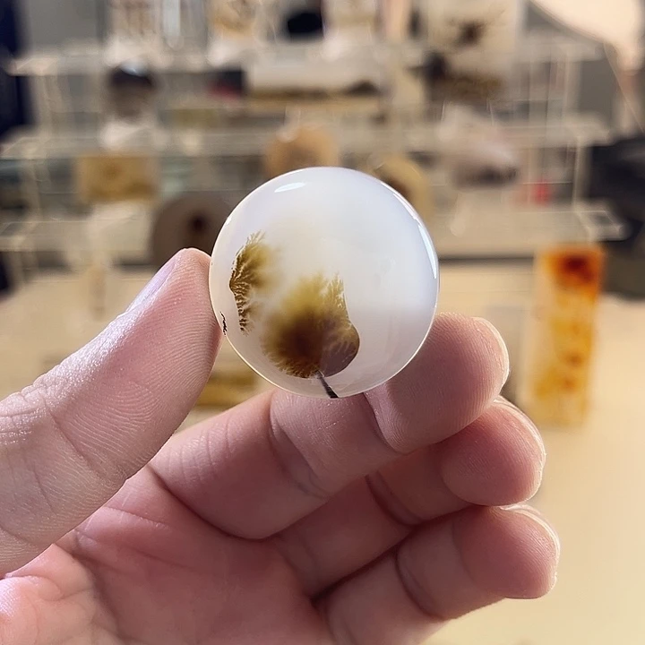 未镶嵌吊坠(不含链)玛瑙/玉髓
