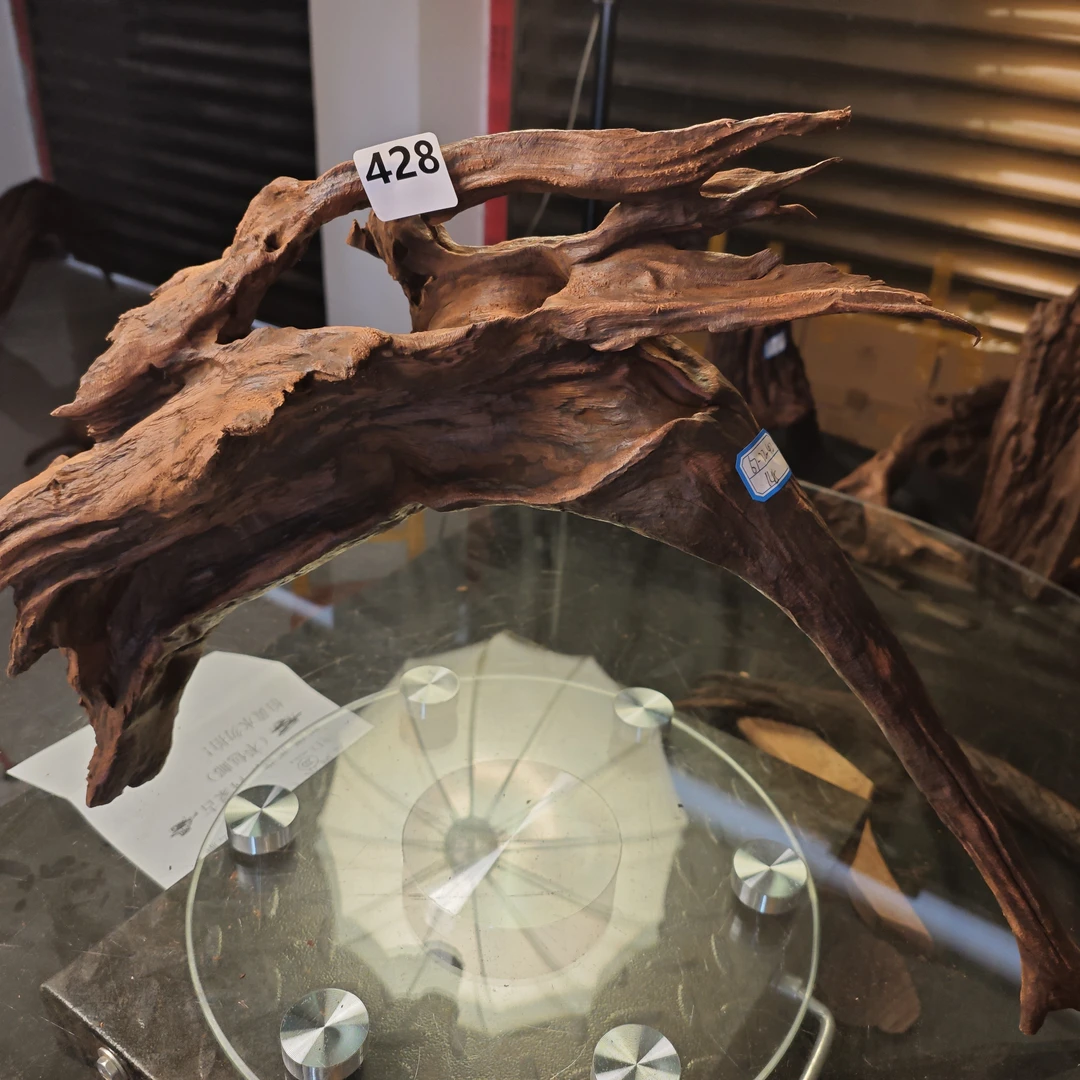 沉木云南紫柚木秒沉鱼428