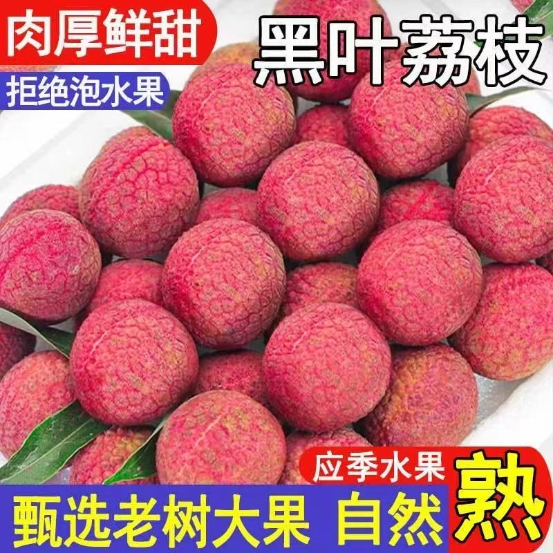 【老树大果】荔枝新鲜爆甜爆汁漳州荔枝黑叶荔枝当季水果现摘福建
