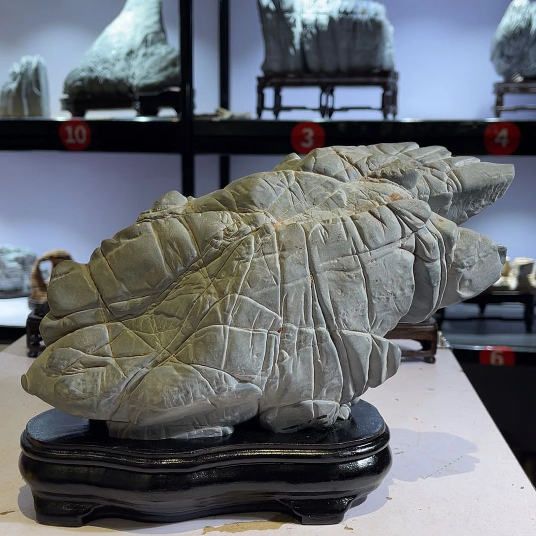 紫砂偏远地区不包邮雷