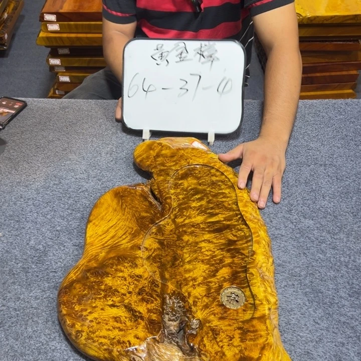 缅甸黄金樟实木茶盘