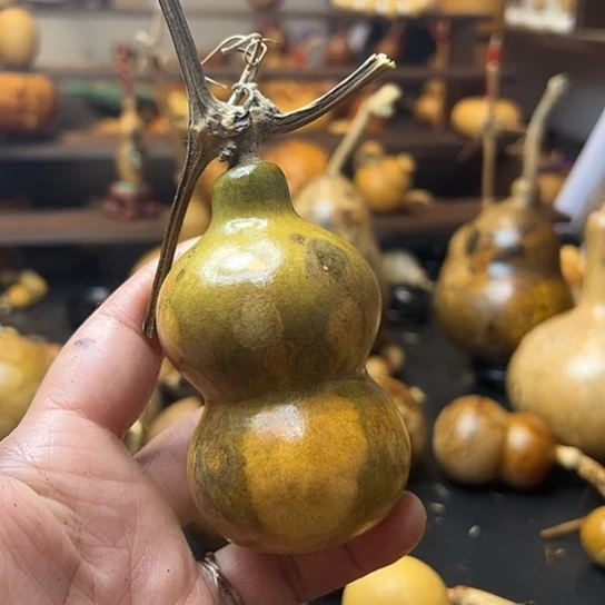 _***@葫芦葫芦葫芦葫芦了