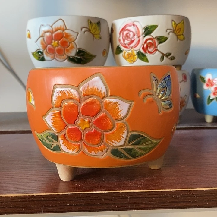 韩式多肉植物花盆