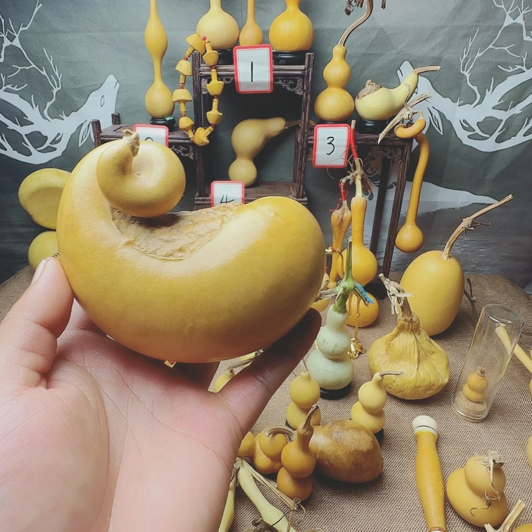 貔***貅葫芦等多种颜色的花鸟画作品