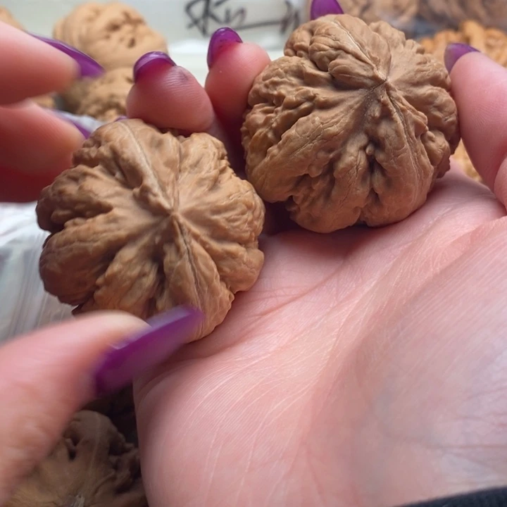 沣***哥吊坠文玩核桃霸王龙