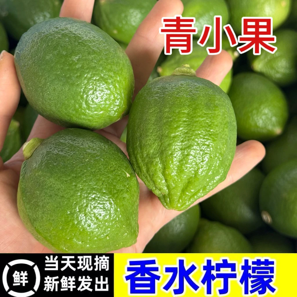 新鲜现摘广东香水柠檬爆香山地果无籽奶茶店手打柠檬茶
