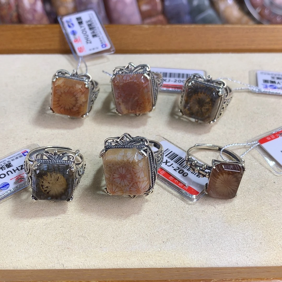 硅化珊瑚（珊瑚玉）未镶嵌吊坠(赠链)39号复古银托